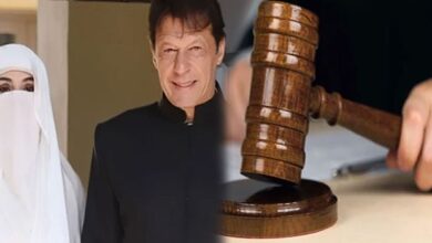 عمران خان کی اہلیہ بشریٰ بی بی کے ہمراہ پیشی، جوڈیشل کمپلیکس میں سیکیورٹی کے سخت انتظامات