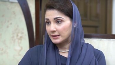 اگر اپوزیشن نے امن خراب کرنے کی کوشش کی تو برداشت نہیں کروں گی، مریم نواز