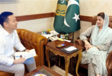 Huawei Deputy CEO takes up Punjab digital issues with CM Maryam
