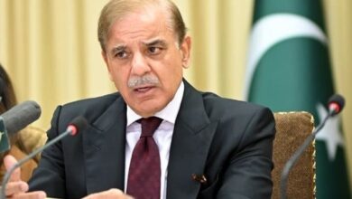 پی ٹی آئی پر پابندی سے متعلق بلایا جانیوالا وفاقی کابینہ کا اجلاس ملتوی،وجہ کیا بنی ؟جانیں